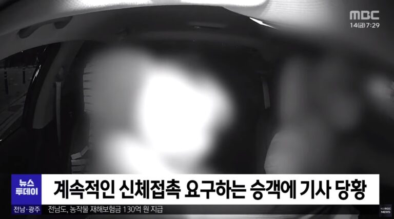택시기사에게 “몸 만져줘” 요구한 20대 여성 불구속기소